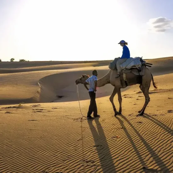 Camel Safari jaisalmer